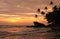 Silhouetted palm trees and rocks at sunset, Unawatuna, Sri Lanka