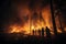 Silhouetted people witness forest fire at night