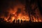 Silhouetted people witness forest fire at night