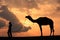 Silhouetted person with a camel at sunset, Thar desert near Jaisalmer, India