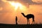 Silhouetted person with a camel at sunset, Thar desert near Jaisalmer, India