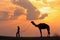 Silhouetted person with a camel at sunset, Thar desert near Jaisalmer, India