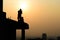 Silhouetted of photographer shooting cityscape at building roof