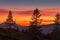 Silhouetted pine trees on a hill with a mountainous sunset backdrop