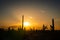 Silhouetted Saguaro Cactus against sunset sky