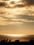 Silhouetted seagulls on beach