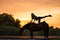 Silhouetted a slender girl practicing yoga on horseback, at sunset the horse stands in the lake. Care and walk with the horse.