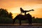 Silhouetted a slender girl practicing yoga on horseback, at sunset the horse stands in the lake. Care and walk with the horse.