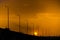 Silhouetted street lights along the road against the golden sunset sky, Riyadh, Saudi Arabia