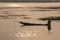 Silhouetted traditional wooden canoes fishing in Asia