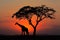 Silhouetted tree and giraffe