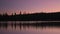 Silhouetted trees reflect in glassy lake during pink sunrise.