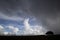 Silhouetted windswept stunted tree