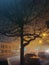 Silhouetted Winter Tree in a foggy city street with cars