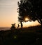 Silhouettes of adorable woman playing running with her cute dog during sunset