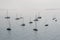 Silhouettes of anchored sailing boats in the mist