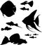 Silhouettes of aquarium fish