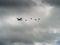 Silhouettes of the army skydiver team against dramatic sky