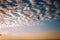 Silhouettes of balloons flying in the sky at sunset