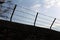 Silhouettes of barb wire mounted with strong metal pipes on traditional stone wall with tree branches and cloudy blue sky in back