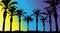 Silhouettes of beautiful palm trees on a bright background, meaning morning, day and night