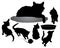 Silhouettes of black cat with five kittens, bowl and ball of yarn