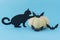 silhouettes of black cat and flying black paper bats next to a yellow pumpkin on a blue background.