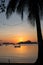 Silhouettes of boats and palm tree in tropical harbor in evening. Sunset in lagoon in Philippines, Palawan. Sunset on beach.