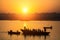 Silhouettes of boats with pilgrims during sunset on holy Ganges river, Varanasi .