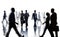 Silhouettes of Business and Casual People Walking