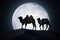 Silhouettes of camels are walking in desert at night. Moon in background.