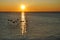 Silhouettes of Canadian Geese Flying at Sunrise