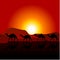 Silhouettes of caravan of camels