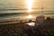 Silhouettes of chaise lounges on the beach of the sea, sunset