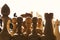 Silhouettes of chess figures on white background