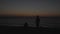 Silhouettes of children against the sea. Sunset.