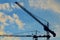 Silhouettes construction cranes