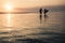 Silhouettes of couple holding hands and surf boards at sunset on coastline