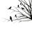 Silhouettes of crows on tree branches on white background. Blank space