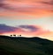 Silhouettes of cypress trees in Tuscany. Dramatic spring sunrise in Italian countryside. Impressive morning scene in Italy, Europe