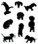 Silhouettes of dachshunds. Vector illustration.