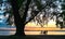 Silhouettes. Dark silhouettes of a group of people under a large tree. Horizontal photo