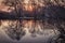 Silhouettes of dark trees are reflected in the water / early spring or early autumn, the first frosts.