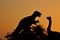 The silhouettes of dinosaurs