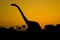 Silhouettes of dinosaurs