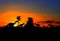 Silhouettes of dinosaurs in the forest on sunset background with copy space