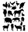 Silhouettes domestic farm animals and birds. Collection vector isolated hand drawings animals on white background for