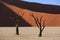 Silhouettes of dry hundred years old trees in the desert among red sand dunes. Unusual surreal alien landscape with dead