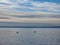 Silhouettes of ducks in the open sea at Lee On The Solent, Hampshire, UK