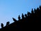 Silhouettes at Dusk: Pigeons Perched Above a Crooked Roof